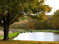 Fall '05 - 2.jpg